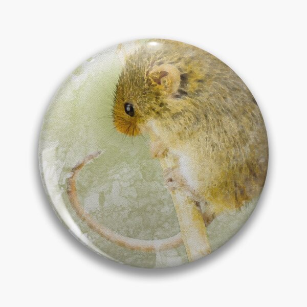 Item preview,  Harvest Mouse Watercolour Photograph. designed and sold by Jane Stanley Photography.