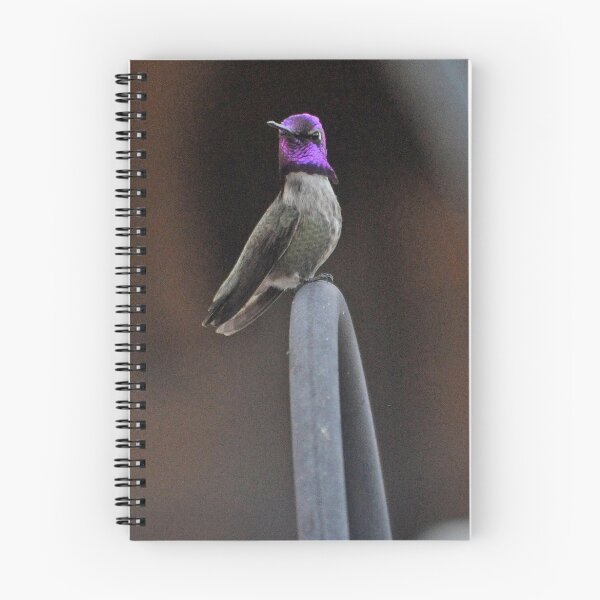 Item preview, ONE BEAUTIFUL AND PROUD HUMMINGBIRD designed and sold by JAYMILO.