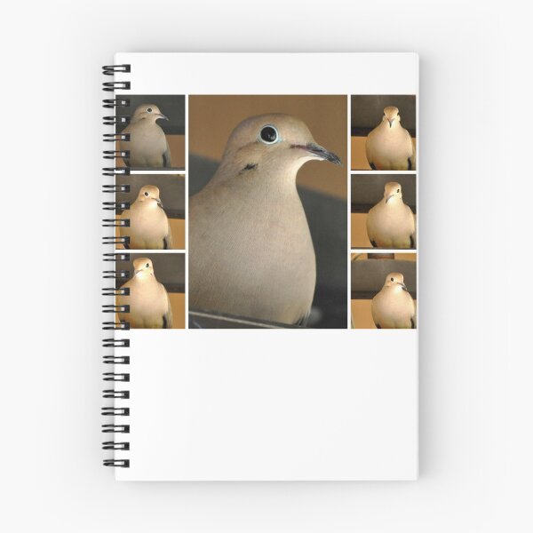 Item preview, MOURNING DOVE PREPARING TO NEST designed and sold by JAYMILO.