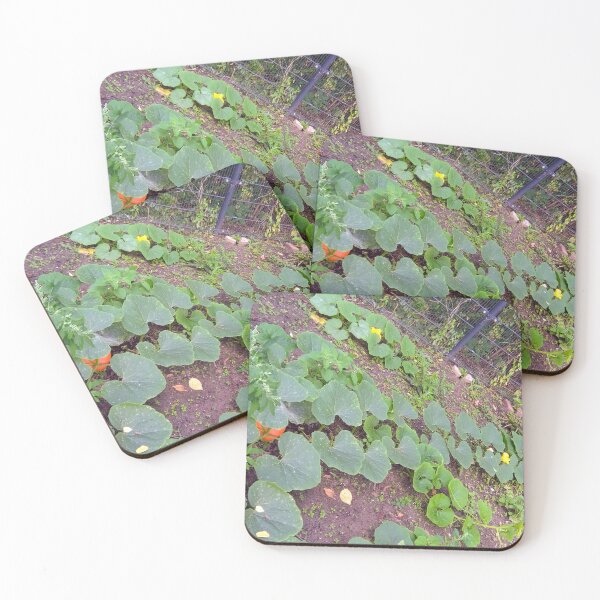 Item preview, Pumpkin Foliage, Blossom & Fruit designed and sold by hajarsdeco.
