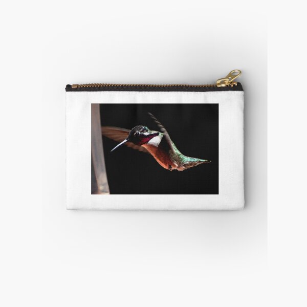 Item preview, HUMMINGBIRD MALE COSTA'S IN FLIGHT designed and sold by JAYMILO.