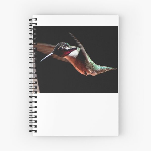 Item preview, HUMMINGBIRD MALE COSTA'S IN FLIGHT designed and sold by JAYMILO.