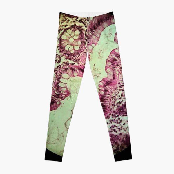 Awesome Asshole Leggings for Sale