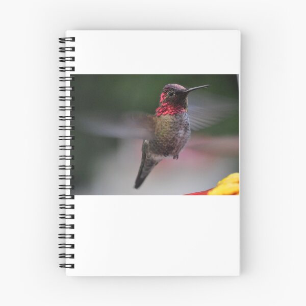 Item preview, HUMMINGBIRD ANNA'S IN FLIGHT TO FEEDER designed and sold by JAYMILO.