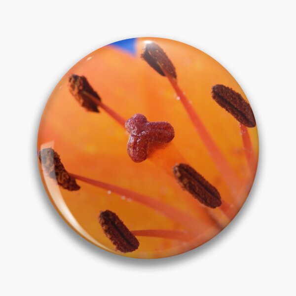 Item preview, Lilium  'Orange Pixie'  Dwarf Asiatic lily  designed and sold by Chris Burrows.