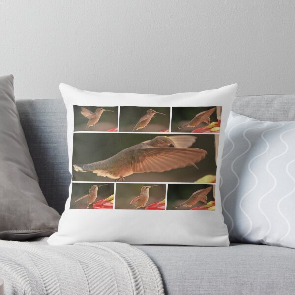 Item preview, FEMALE HUMMINGBIRD ANNA'S COLLAGE designed and sold by JAYMILO.