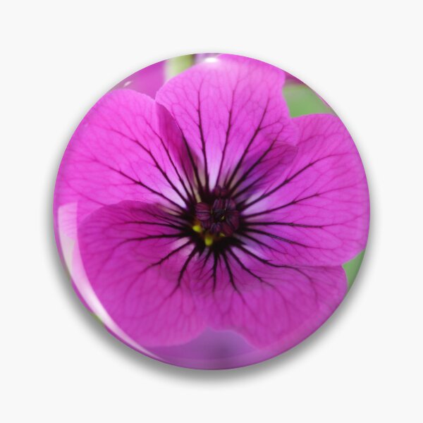 Item preview, Geranium psilostemon  AGM  Armenian cranesbill   designed and sold by Chris Burrows.