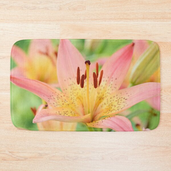 Item preview, Lilium  'Pink Pixie'  Dwarf Asiatic lily  designed and sold by Chris Burrows.