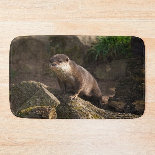 Item preview, Otter On The Look Out designed and sold by rawshutterbug.