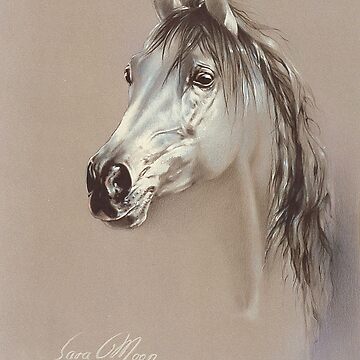 Artwork thumbnail, Savannah by sara-moon