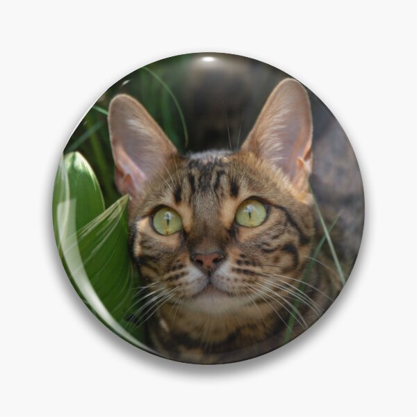 Item preview, Safari cat designed and sold by Goldenskik.