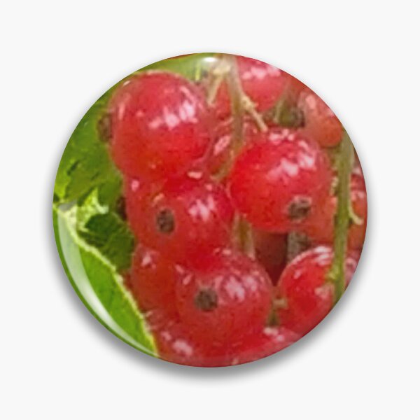 Item preview, Red Currant designed and sold by hajarsdeco.