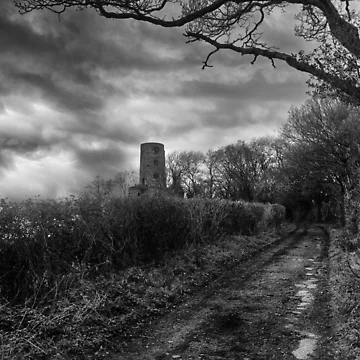 Artwork thumbnail, Monument Lane Racton by Dave Godden
