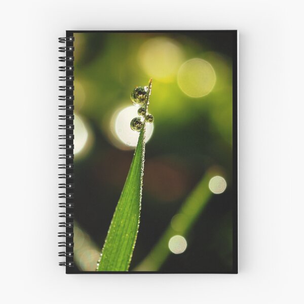 Item preview, Fairie's Light designed and sold by 1creativeminds.