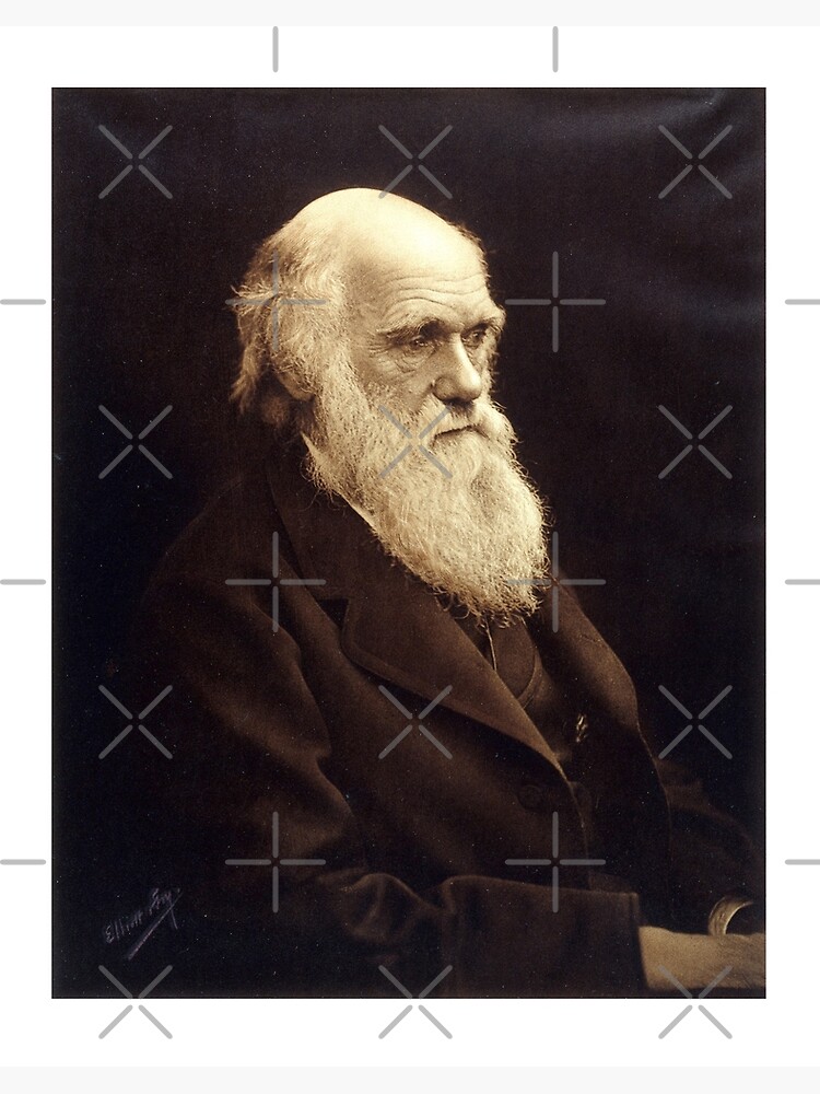 Charles Darwin Vintage Portrait 