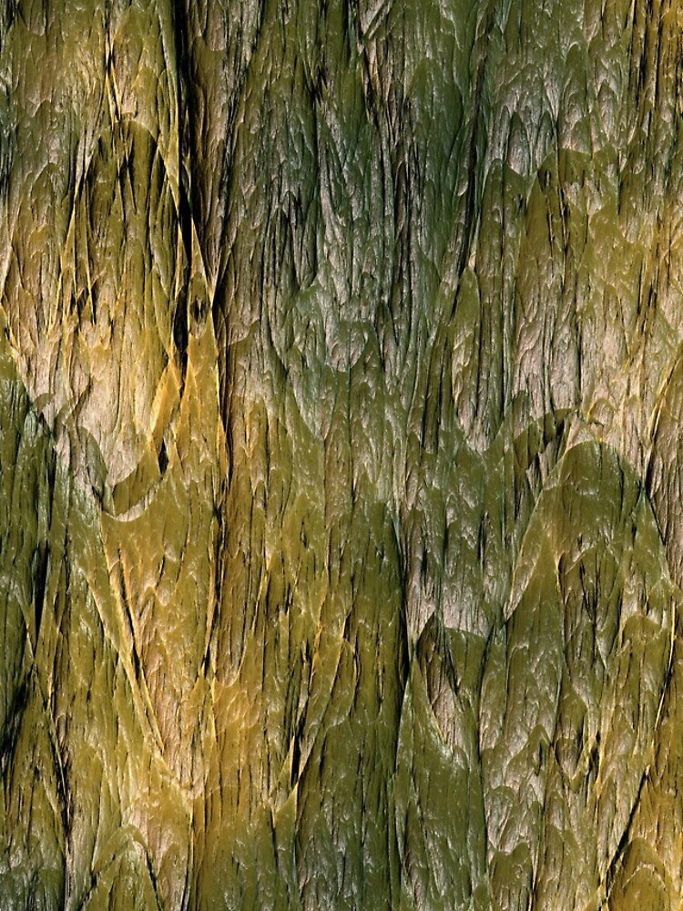 bark texture by starchim01