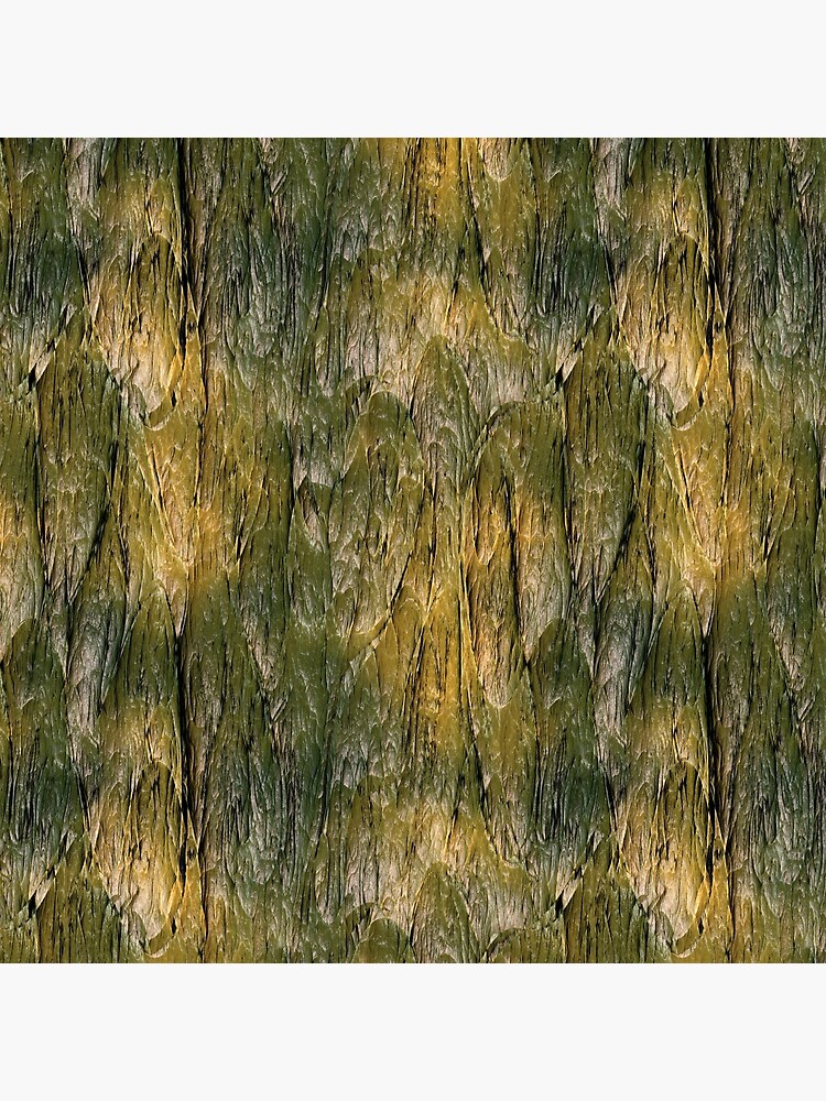 bark texture by starchim01