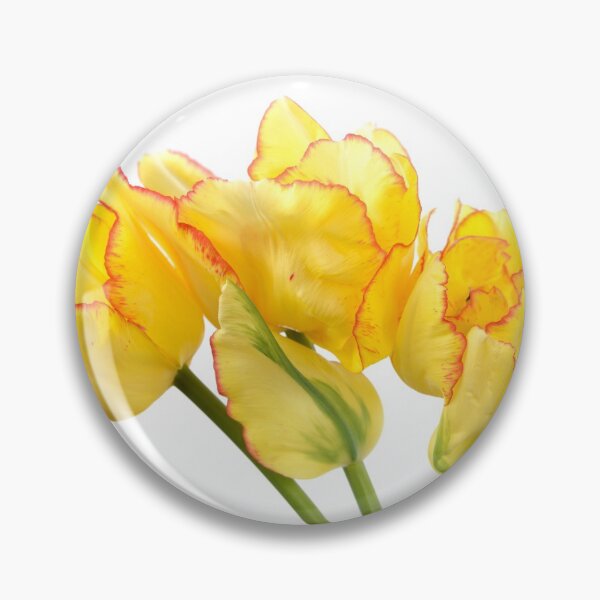 Item preview, Tulipa  'Aquilla'  Double Late Group  Multi-headed tulip  designed and sold by Chris Burrows.