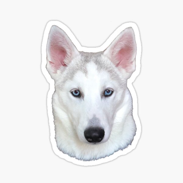 Siberian Husky Sky Sticker