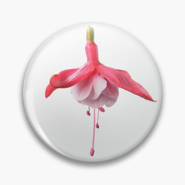 Item preview, Fuchsia designed and sold by Chris Burrows.