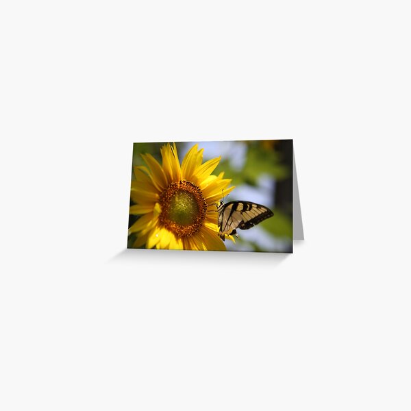Item preview, Sunflower with Butterfly designed and sold by edwardskids.