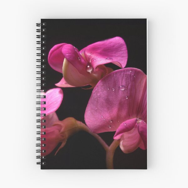 Item preview, Wicken designed and sold by harietteh.