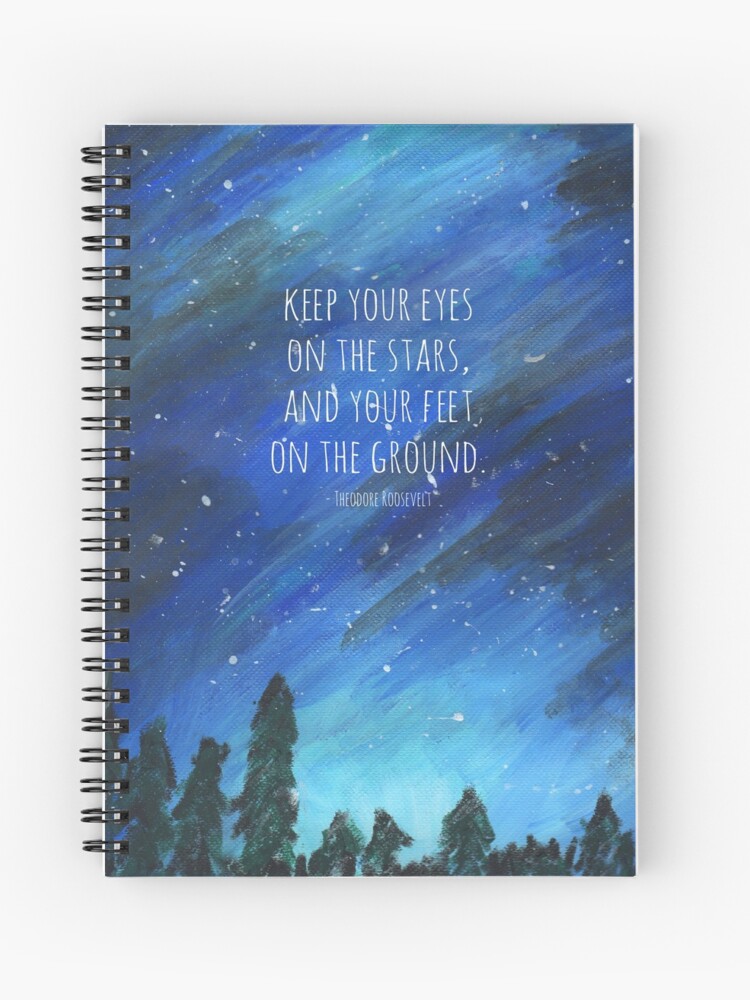 Teddy Roosevelt NEW Classroom Motivational POSTER Keep you eyes on the stars 