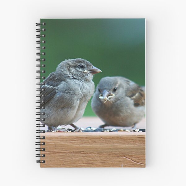 Item preview, Two baby sparrows designed and sold by Linda Crockett.