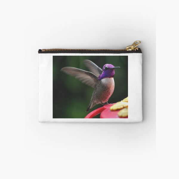 Item preview, SHOWOFF COSTA'S HUMMINGBIRD ON PERCH designed and sold by JAYMILO.