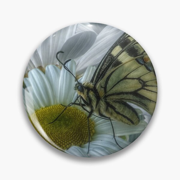 Item preview, Butterfly on a daisy designed and sold by harietteh.