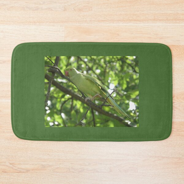 Item preview, Ring Necked Parakeet Stretching Exercises Photograph designed and sold by naturegallery.