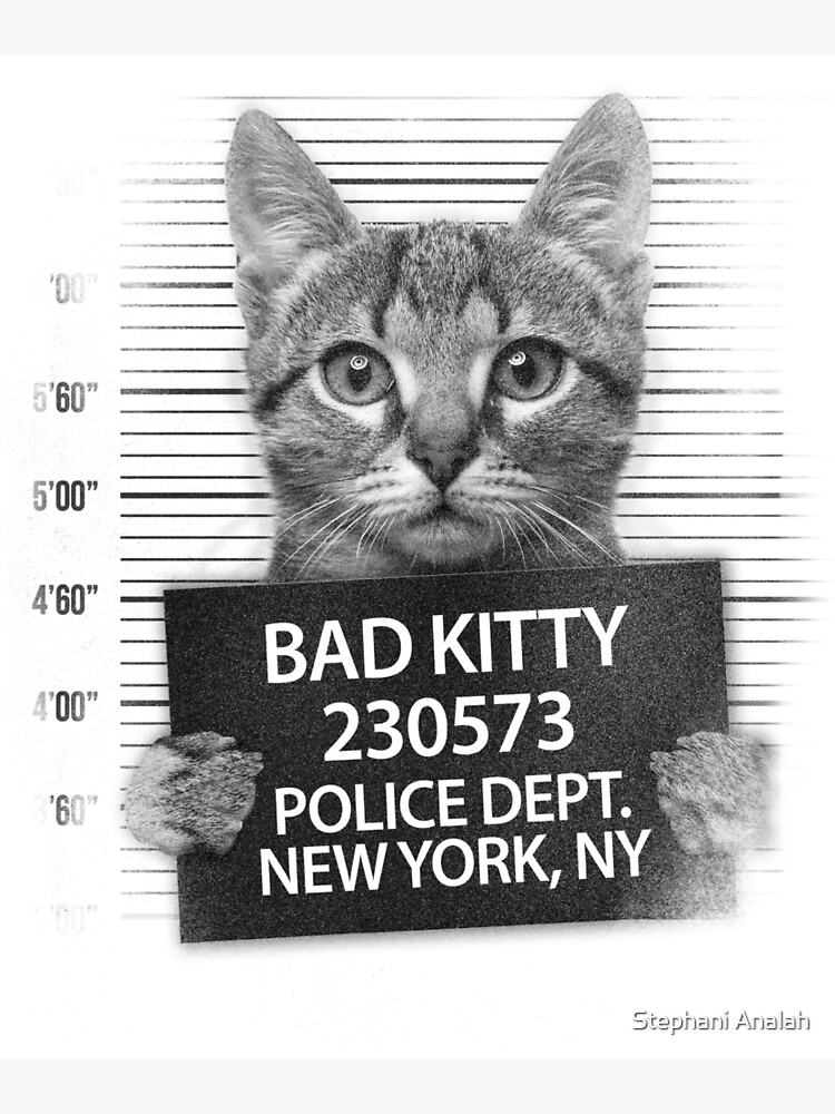 Funny Bad Kitty Cat Lovers Gift Cute Cat Meme Poster for Sale by Stephani  Analah