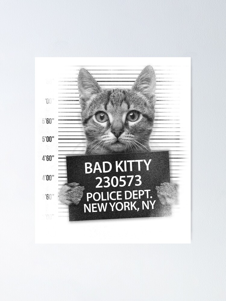 Funny Bad Kitty Cat Lovers Gift Cute Cat Meme Poster for Sale by Stephani  Analah