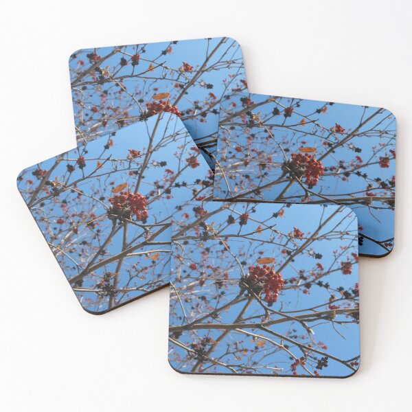 Item preview, Berries in Winter designed and sold by DylannaFisher.
