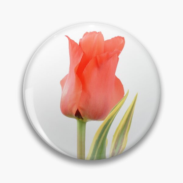 Item preview, Tulips designed and sold by Chris Burrows.