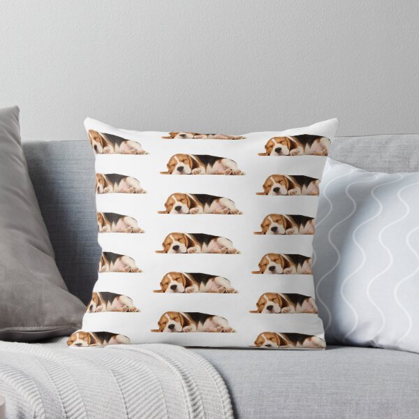 Item preview, Beagle sleeping designed and sold by andreskaizen.
