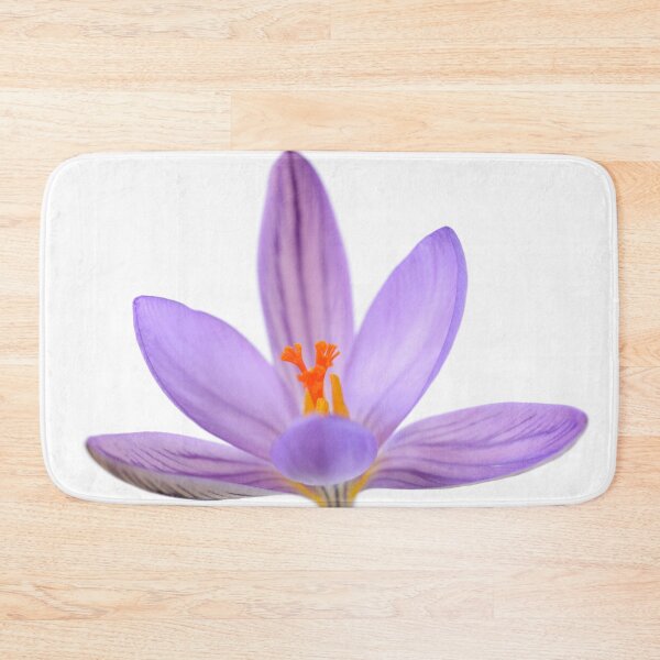 Item preview, Crocus corsicus  AGM	  Corsican crocus   designed and sold by Chris Burrows.