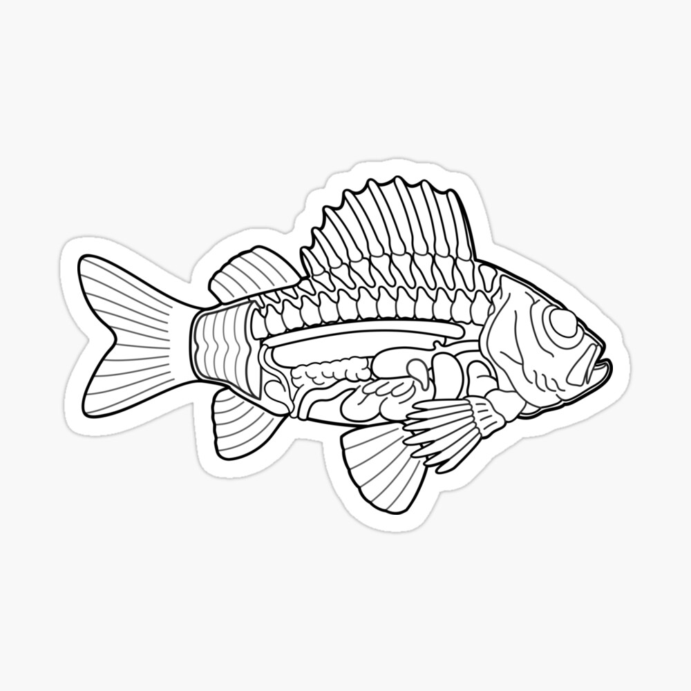 Koi Fish Line Art SVG, Japanese Koi Fish Graphic by Cnxsvg · Creative  Fabrica