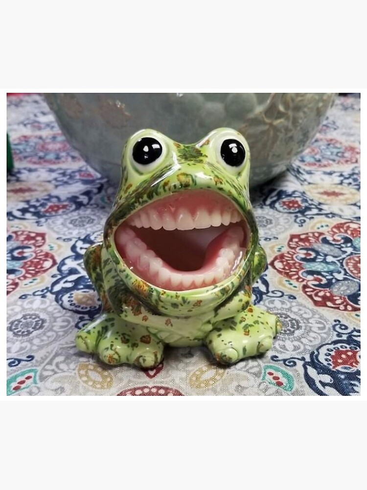 Vintage Ceramic Frog Sponge Holder