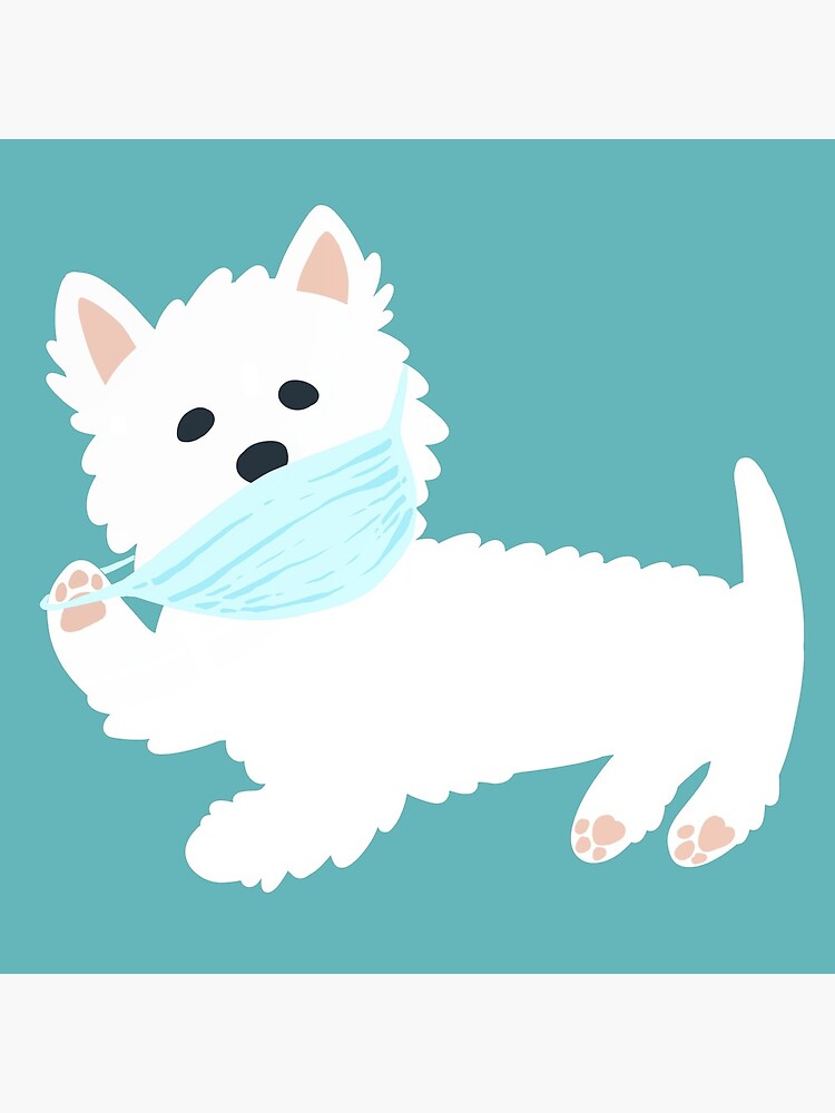 Self isolating Westie pup by mirunasfia