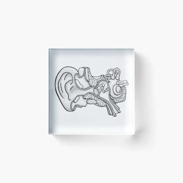 Item preview, Duotone Illustration of Inner Ear Anatomy designed and sold by taylorcustom.