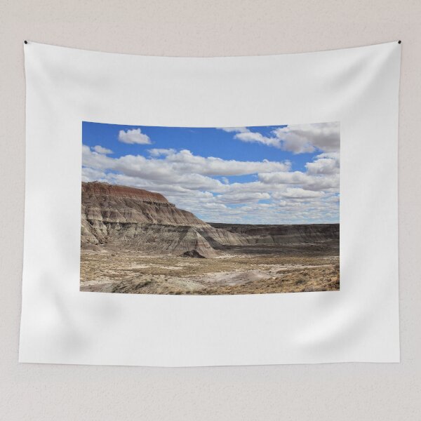 Item preview, Badlands in Petrified Forest National Park designed and sold by Zach Auerbach.