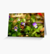 TEENY WEENY BUTTERFLY Greeting Card
