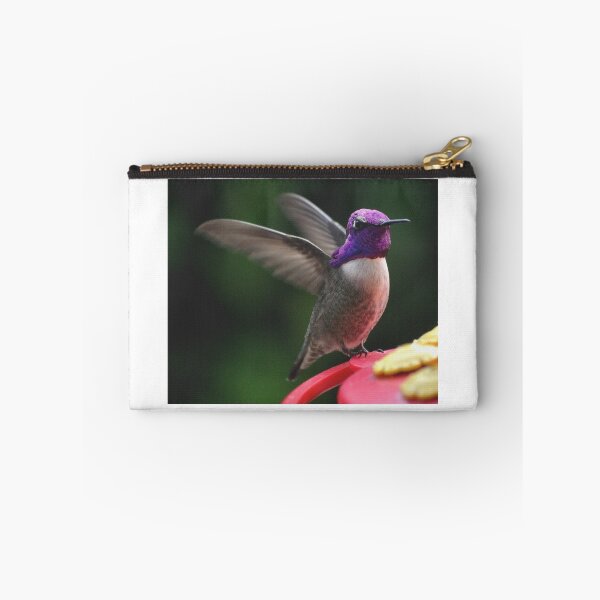 Item preview, MALE HUMMINGBIRD ANNA'S IN ANGEL WING POSE designed and sold by JAYMILO.