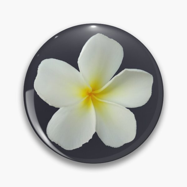 Item preview, Frangipani - White and Yellow designed and sold by STHogan.