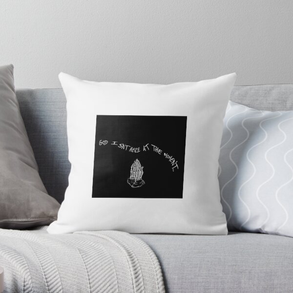 https://ih1.redbubble.net/image.112917845.6639/throwpillow,small,600x-bg,f8f8f8-c,0,120,600,600.jpg