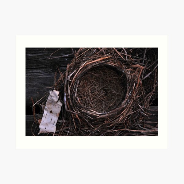 Empty Nest Art Print