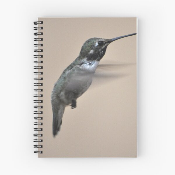 Item preview, BABY FEMALE ANNA'S HUMMINGBIRD IN FLIGHT designed and sold by JAYMILO.