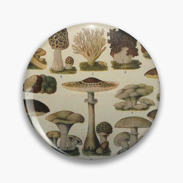 Item preview, Edible Mushrooms designed and sold by BlueSpecsStudio.