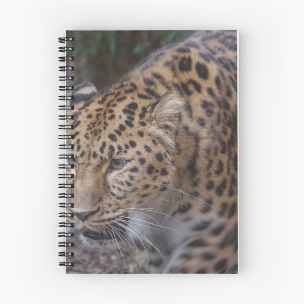 Item preview, leopard designed and sold by karlthorndick.
